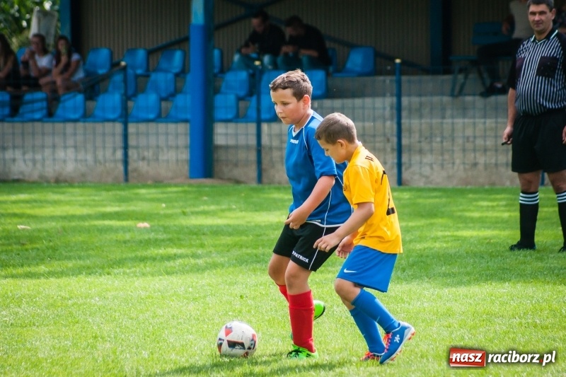 Zdjęcie w galerii na portalu naszraciborz.pl: Sportowy festyn w Krzanowicach za nami wiadomości z regionu