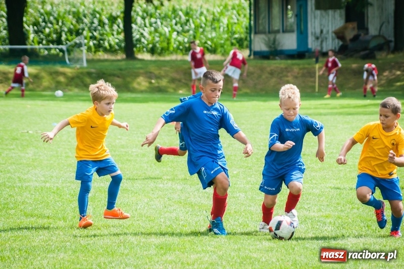 Zdjęcie w galerii na portalu naszraciborz.pl: Sportowy festyn w Krzanowicach za nami wiadomości z regionu