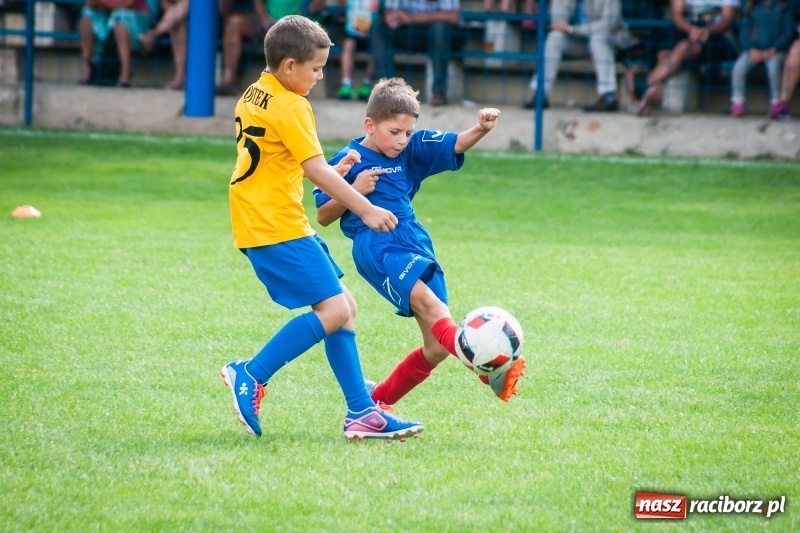 Zdjęcie w galerii na portalu naszraciborz.pl: Sportowy festyn w Krzanowicach za nami wiadomości z regionu