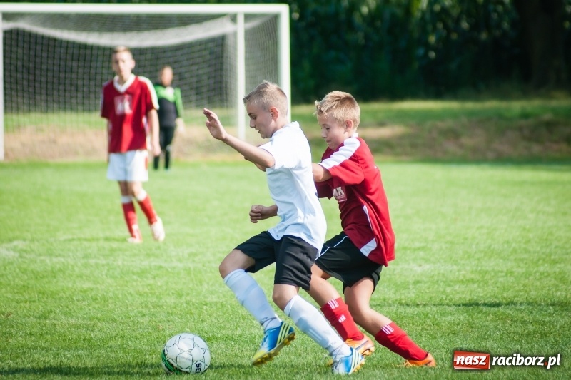 Zdjęcie w galerii na portalu naszraciborz.pl: Sportowy festyn w Krzanowicach za nami wiadomości z regionu