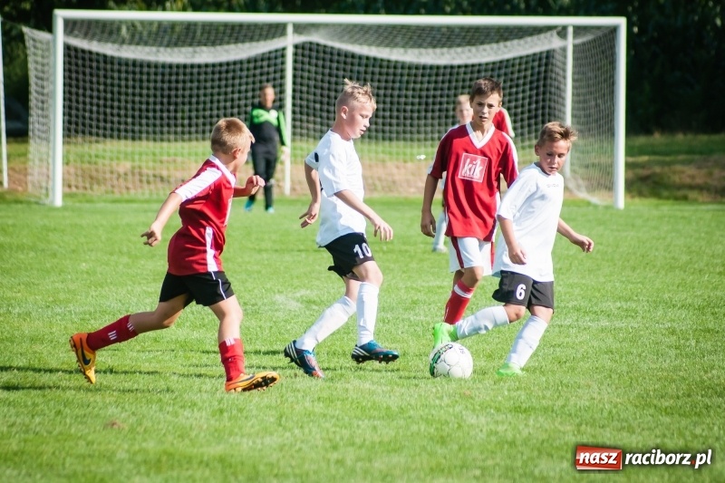 Zdjęcie w galerii na portalu naszraciborz.pl: Sportowy festyn w Krzanowicach za nami wiadomości z regionu