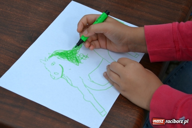 Zdjęcie w galerii na portalu naszraciborz.pl: Zajęcia integracyjne człowiek – koń zakończyły letnią akcję Zamkowe Zuchy 2017 wiadomości z regionu