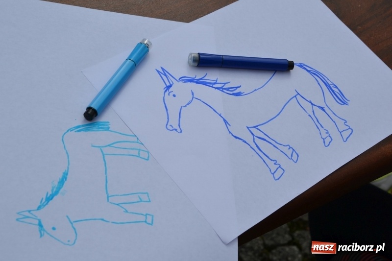 Zdjęcie w galerii na portalu naszraciborz.pl: Zajęcia integracyjne człowiek – koń zakończyły letnią akcję Zamkowe Zuchy 2017 wiadomości z regionu