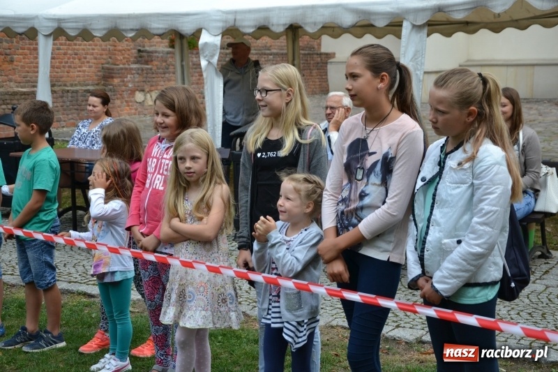 Zdjęcie w galerii na portalu naszraciborz.pl: Zajęcia integracyjne człowiek – koń zakończyły letnią akcję Zamkowe Zuchy 2017 wiadomości z regionu