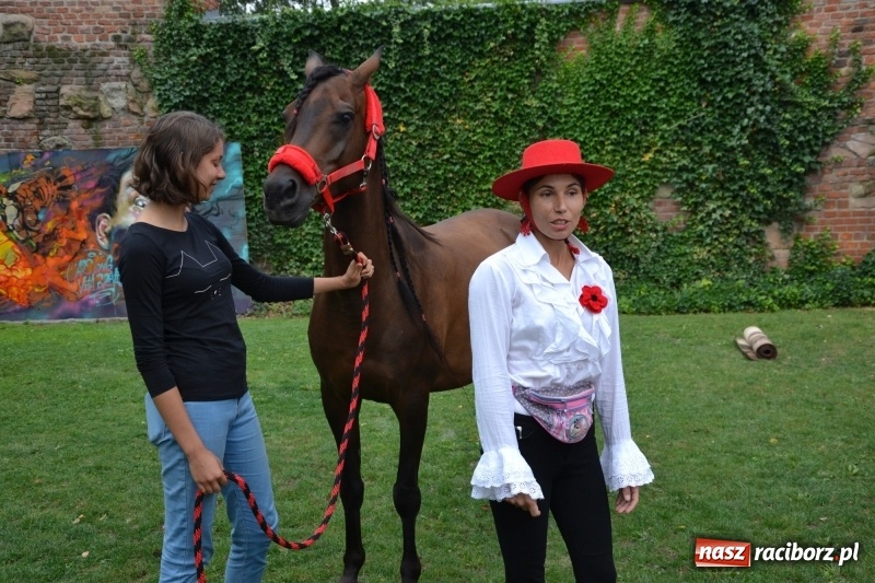 Zdjęcie w galerii na portalu naszraciborz.pl: Zajęcia integracyjne człowiek – koń zakończyły letnią akcję Zamkowe Zuchy 2017 wiadomości z regionu
