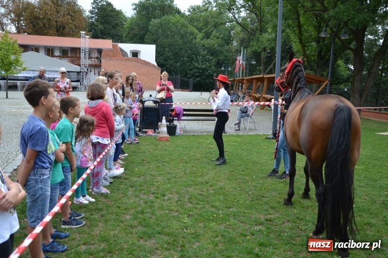 Zdjęcie w galerii na portalu naszraciborz.pl: Zajęcia integracyjne człowiek – koń zakończyły letnią akcję Zamkowe Zuchy 2017 wiadomości z regionu