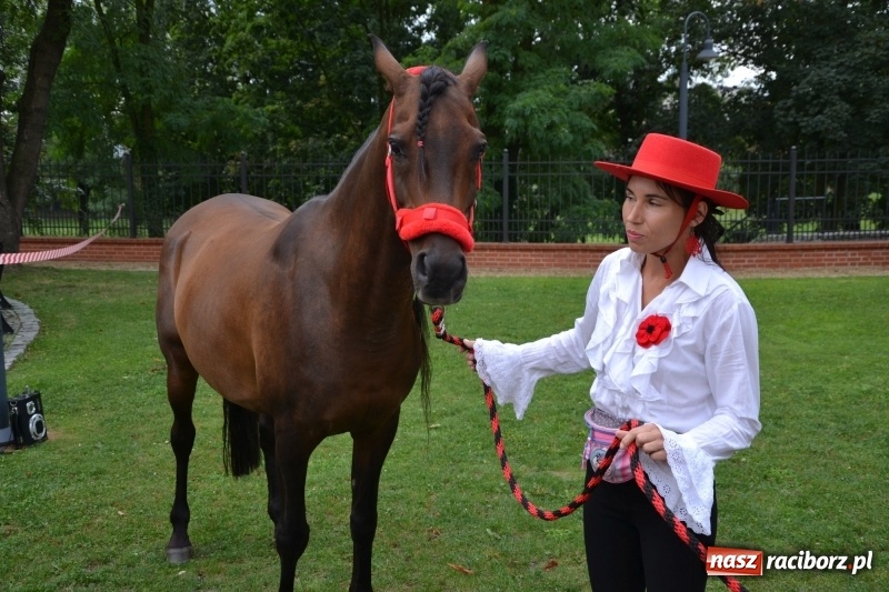 Zdjęcie w galerii na portalu naszraciborz.pl: Zajęcia integracyjne człowiek – koń zakończyły letnią akcję Zamkowe Zuchy 2017 wiadomości z regionu