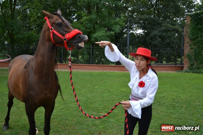 Zdjęcie w galerii na portalu naszraciborz.pl: Zajęcia integracyjne człowiek – koń zakończyły letnią akcję Zamkowe Zuchy 2017 wiadomości z regionu