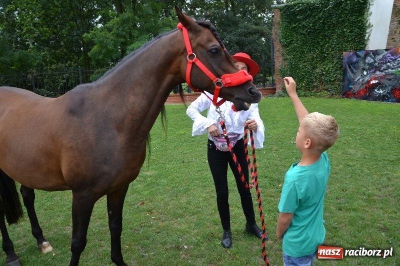 Zdjęcie w galerii na portalu naszraciborz.pl: Zajęcia integracyjne człowiek – koń zakończyły letnią akcję Zamkowe Zuchy 2017 wiadomości z regionu