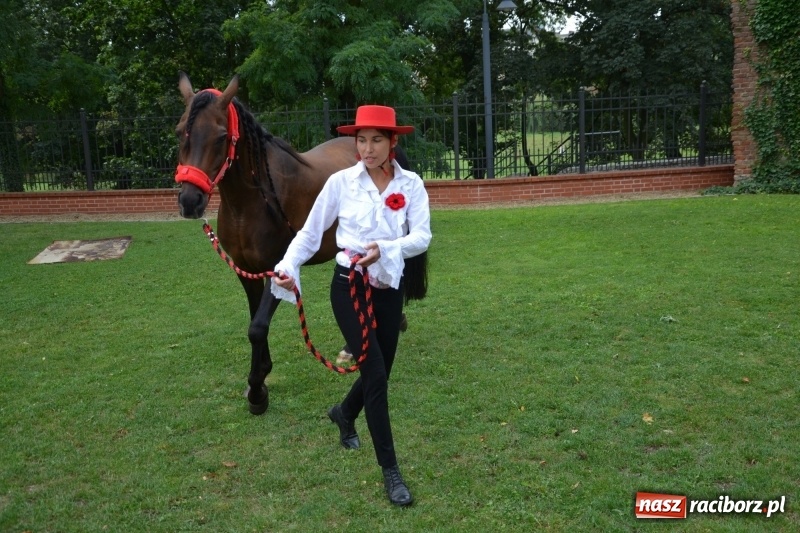 Zdjęcie w galerii na portalu naszraciborz.pl: Zajęcia integracyjne człowiek – koń zakończyły letnią akcję Zamkowe Zuchy 2017 wiadomości z regionu