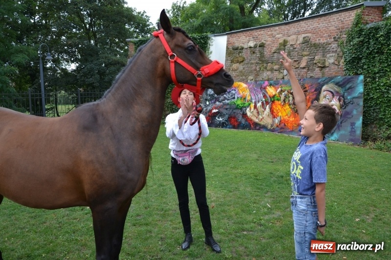 Zdjęcie w galerii na portalu naszraciborz.pl: Zajęcia integracyjne człowiek – koń zakończyły letnią akcję Zamkowe Zuchy 2017 wiadomości z regionu