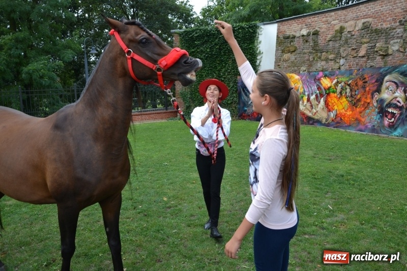 Zdjęcie w galerii na portalu naszraciborz.pl: Zajęcia integracyjne człowiek – koń zakończyły letnią akcję Zamkowe Zuchy 2017 wiadomości z regionu