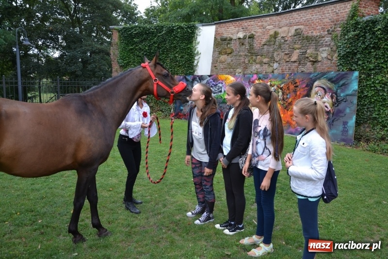Zdjęcie w galerii na portalu naszraciborz.pl: Zajęcia integracyjne człowiek – koń zakończyły letnią akcję Zamkowe Zuchy 2017 wiadomości z regionu