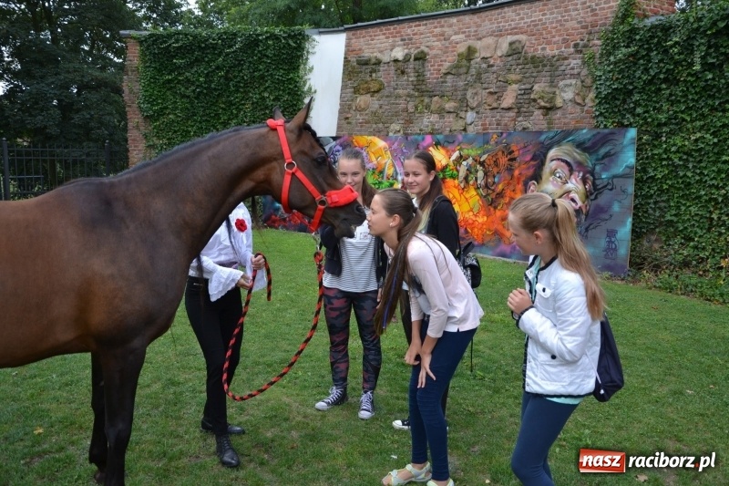 Zdjęcie w galerii na portalu naszraciborz.pl: Zajęcia integracyjne człowiek – koń zakończyły letnią akcję Zamkowe Zuchy 2017 wiadomości z regionu