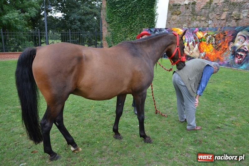 Zdjęcie w galerii na portalu naszraciborz.pl: Zajęcia integracyjne człowiek – koń zakończyły letnią akcję Zamkowe Zuchy 2017 wiadomości z regionu