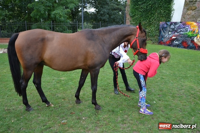 Zdjęcie w galerii na portalu naszraciborz.pl: Zajęcia integracyjne człowiek – koń zakończyły letnią akcję Zamkowe Zuchy 2017 wiadomości z regionu