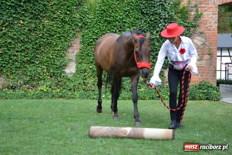 Zdjęcie w galerii na portalu naszraciborz.pl: Zajęcia integracyjne człowiek – koń zakończyły letnią akcję Zamkowe Zuchy 2017 wiadomości z regionu