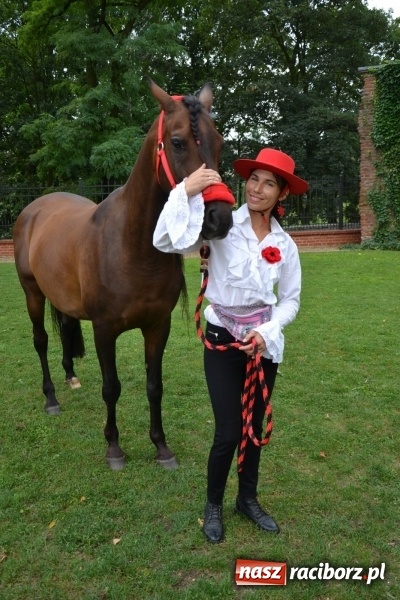 Zdjęcie w galerii na portalu naszraciborz.pl: Zajęcia integracyjne człowiek – koń zakończyły letnią akcję Zamkowe Zuchy 2017 wiadomości z regionu