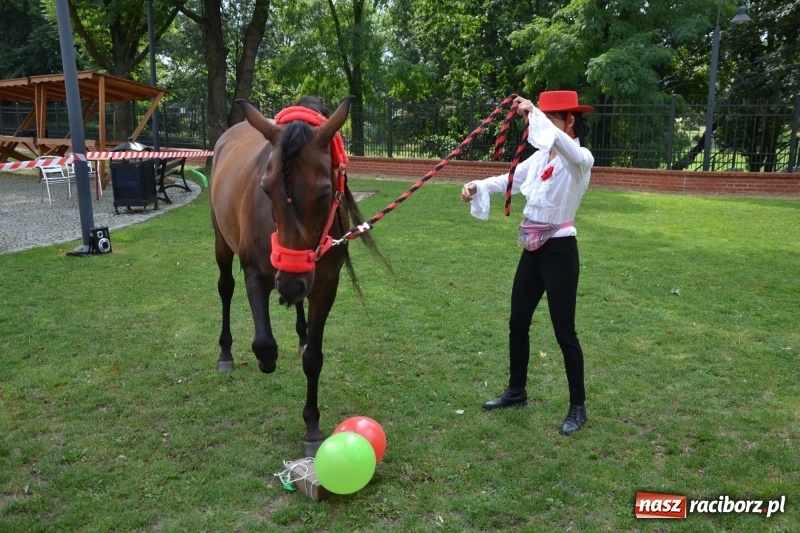 Zdjęcie w galerii na portalu naszraciborz.pl: Zajęcia integracyjne człowiek – koń zakończyły letnią akcję Zamkowe Zuchy 2017 wiadomości z regionu
