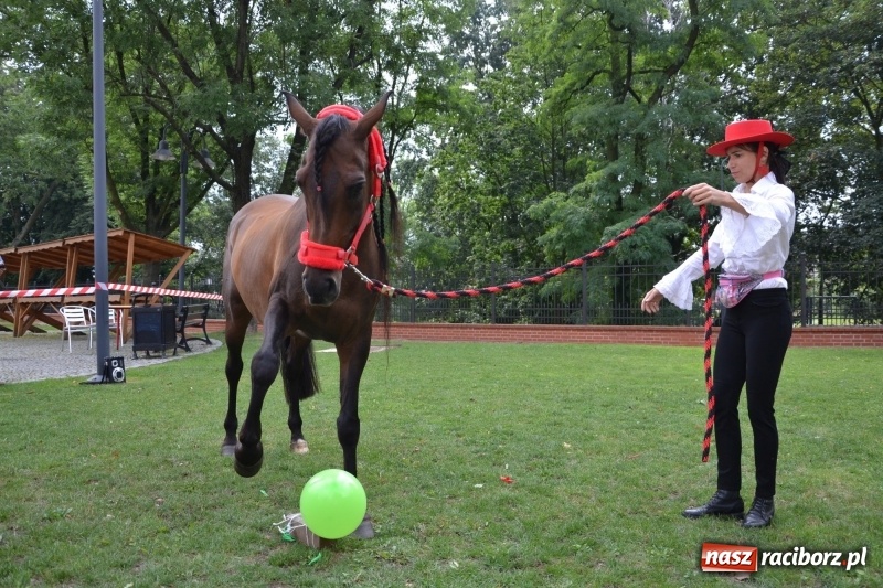 Zdjęcie w galerii na portalu naszraciborz.pl: Zajęcia integracyjne człowiek – koń zakończyły letnią akcję Zamkowe Zuchy 2017 wiadomości z regionu