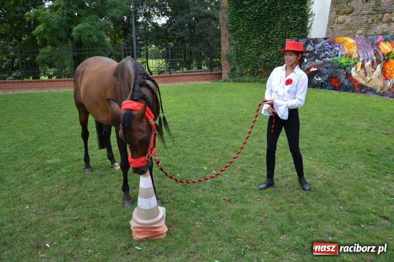 Zdjęcie w galerii na portalu naszraciborz.pl: Zajęcia integracyjne człowiek – koń zakończyły letnią akcję Zamkowe Zuchy 2017 wiadomości z regionu