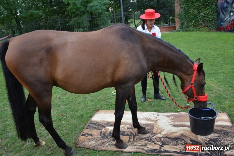 Zdjęcie w galerii na portalu naszraciborz.pl: Zajęcia integracyjne człowiek – koń zakończyły letnią akcję Zamkowe Zuchy 2017 wiadomości z regionu