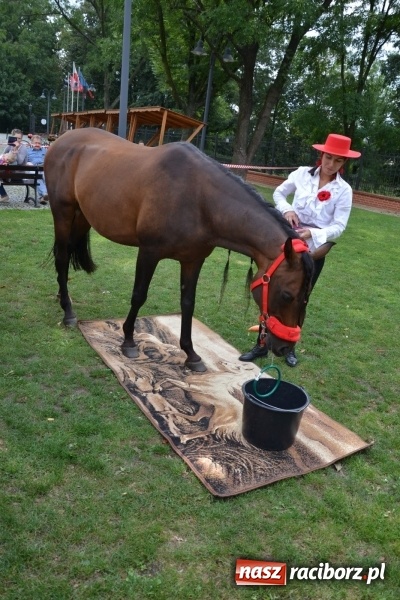 Zdjęcie w galerii na portalu naszraciborz.pl: Zajęcia integracyjne człowiek – koń zakończyły letnią akcję Zamkowe Zuchy 2017 wiadomości z regionu