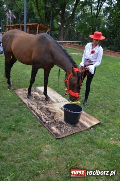 Zdjęcie w galerii na portalu naszraciborz.pl: Zajęcia integracyjne człowiek – koń zakończyły letnią akcję Zamkowe Zuchy 2017 wiadomości z regionu