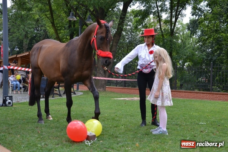 Zdjęcie w galerii na portalu naszraciborz.pl: Zajęcia integracyjne człowiek – koń zakończyły letnią akcję Zamkowe Zuchy 2017 wiadomości z regionu