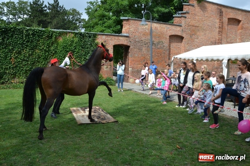 Zdjęcie w galerii na portalu naszraciborz.pl: Zajęcia integracyjne człowiek – koń zakończyły letnią akcję Zamkowe Zuchy 2017 wiadomości z regionu
