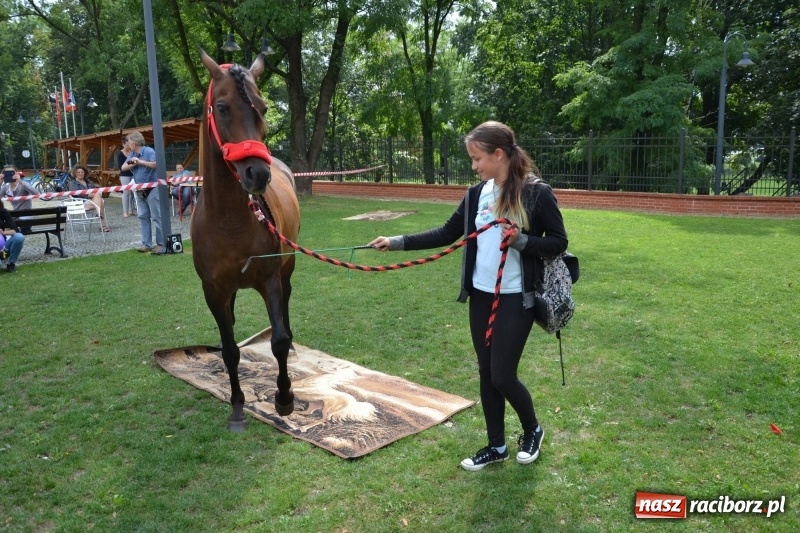 Zdjęcie w galerii na portalu naszraciborz.pl: Zajęcia integracyjne człowiek – koń zakończyły letnią akcję Zamkowe Zuchy 2017 wiadomości z regionu