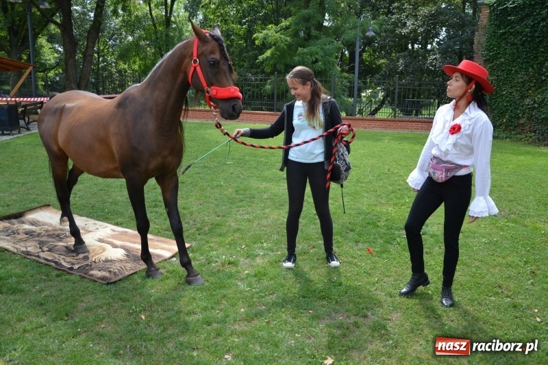 Zdjęcie w galerii na portalu naszraciborz.pl: Zajęcia integracyjne człowiek – koń zakończyły letnią akcję Zamkowe Zuchy 2017 wiadomości z regionu