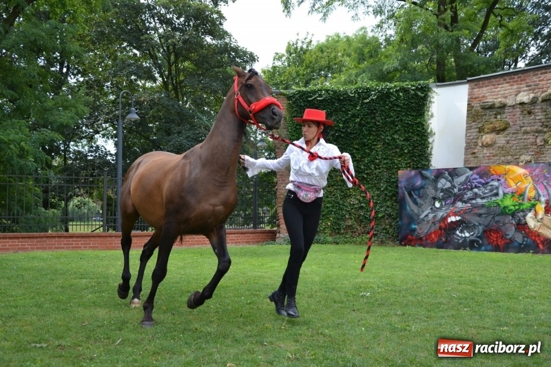 Zdjęcie w galerii na portalu naszraciborz.pl: Zajęcia integracyjne człowiek – koń zakończyły letnią akcję Zamkowe Zuchy 2017 wiadomości z regionu