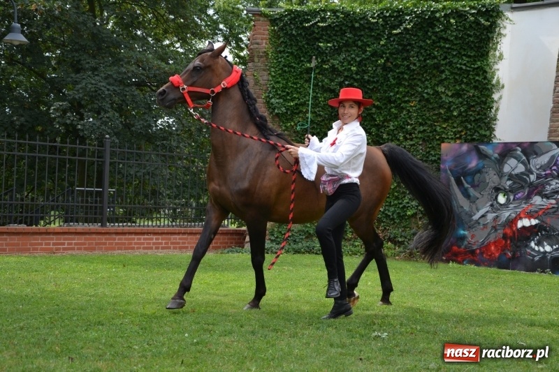 Zdjęcie w galerii na portalu naszraciborz.pl: Zajęcia integracyjne człowiek – koń zakończyły letnią akcję Zamkowe Zuchy 2017 wiadomości z regionu