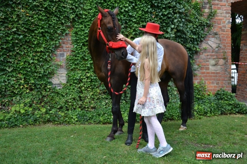 Zdjęcie w galerii na portalu naszraciborz.pl: Zajęcia integracyjne człowiek – koń zakończyły letnią akcję Zamkowe Zuchy 2017 wiadomości z regionu