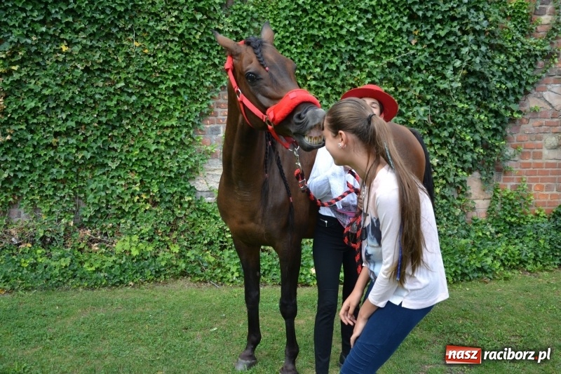 Zdjęcie w galerii na portalu naszraciborz.pl: Zajęcia integracyjne człowiek – koń zakończyły letnią akcję Zamkowe Zuchy 2017 wiadomości z regionu