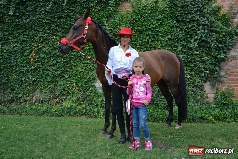 Zdjęcie w galerii na portalu naszraciborz.pl: Zajęcia integracyjne człowiek – koń zakończyły letnią akcję Zamkowe Zuchy 2017 wiadomości z regionu