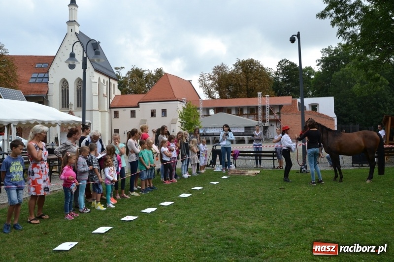 Zdjęcie w galerii na portalu naszraciborz.pl: Zajęcia integracyjne człowiek – koń zakończyły letnią akcję Zamkowe Zuchy 2017 wiadomości z regionu