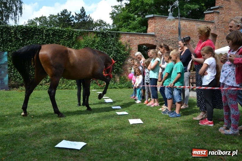 Zdjęcie w galerii na portalu naszraciborz.pl: Zajęcia integracyjne człowiek – koń zakończyły letnią akcję Zamkowe Zuchy 2017 wiadomości z regionu