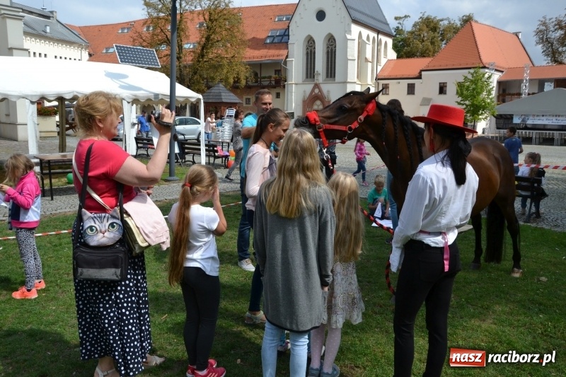 Zdjęcie w galerii na portalu naszraciborz.pl: Zajęcia integracyjne człowiek – koń zakończyły letnią akcję Zamkowe Zuchy 2017 wiadomości z regionu