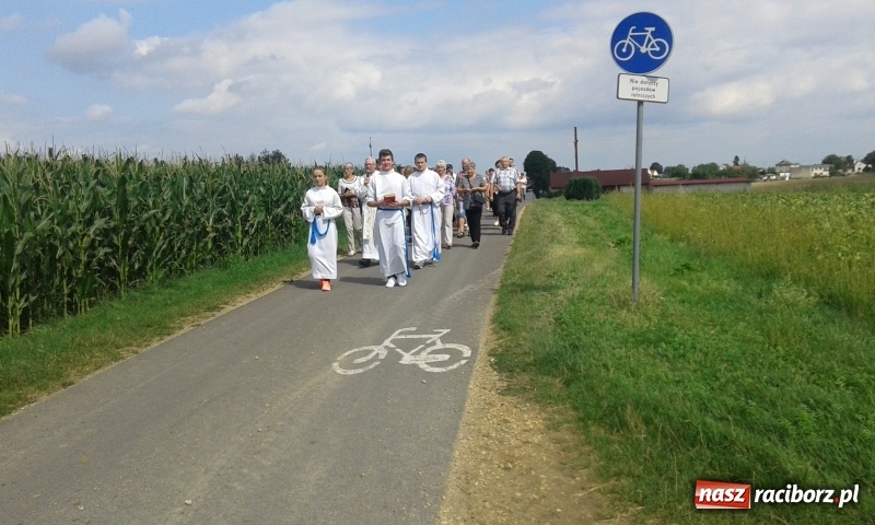 Zdjęcie w galerii na portalu naszraciborz.pl: Stare drzewo dzikiej czereśni - nowe miejsce kultu maryjnego w Borucinie  wiadomości z regionu