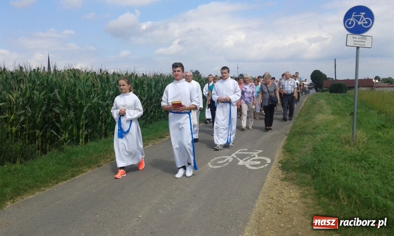 Zdjęcie w galerii na portalu naszraciborz.pl: Stare drzewo dzikiej czereśni - nowe miejsce kultu maryjnego w Borucinie  wiadomości z regionu