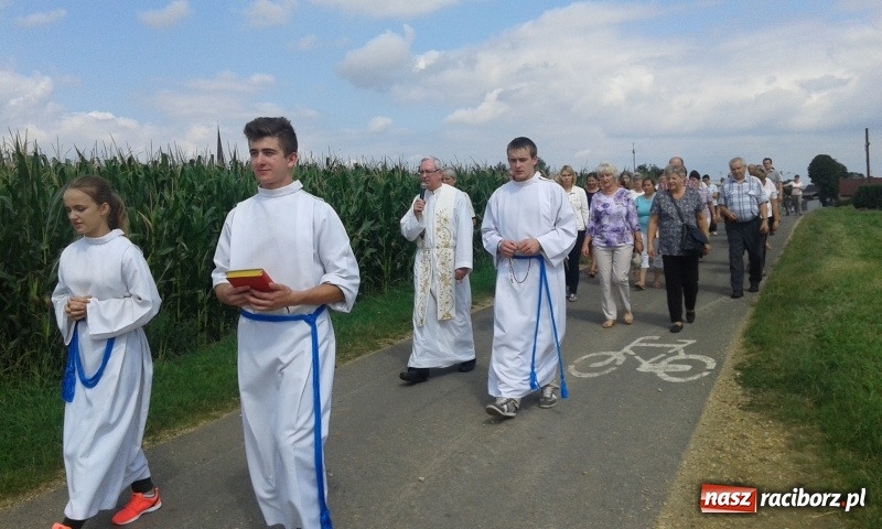 Zdjęcie w galerii na portalu naszraciborz.pl: Stare drzewo dzikiej czereśni - nowe miejsce kultu maryjnego w Borucinie  wiadomości z regionu