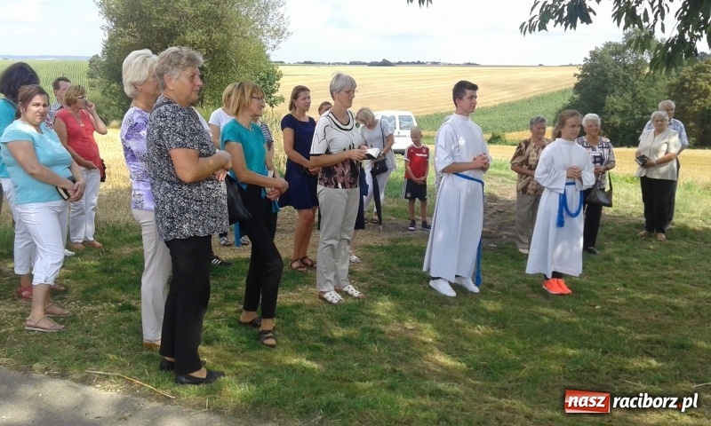 Zdjęcie w galerii na portalu naszraciborz.pl: Stare drzewo dzikiej czereśni - nowe miejsce kultu maryjnego w Borucinie  wiadomości z regionu