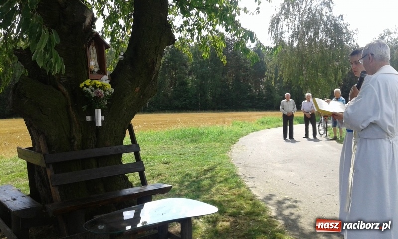 Zdjęcie w galerii na portalu naszraciborz.pl: Stare drzewo dzikiej czereśni - nowe miejsce kultu maryjnego w Borucinie  wiadomości z regionu