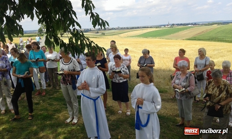 Zdjęcie w galerii na portalu naszraciborz.pl: Stare drzewo dzikiej czereśni - nowe miejsce kultu maryjnego w Borucinie  wiadomości z regionu