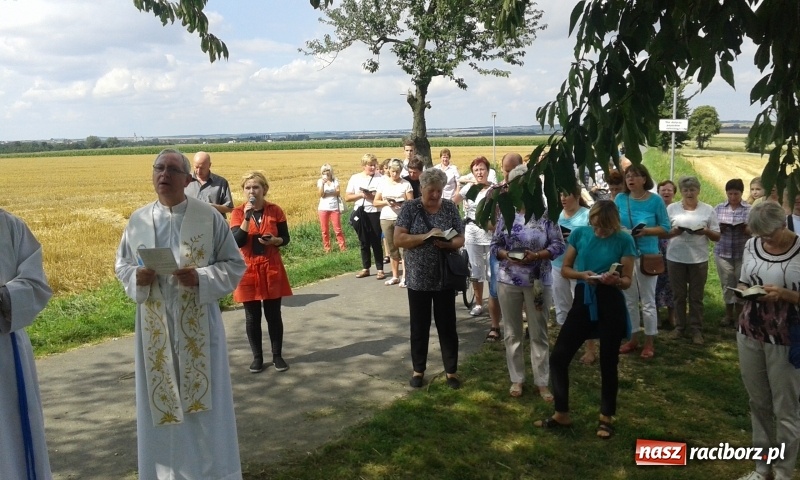 Zdjęcie w galerii na portalu naszraciborz.pl: Stare drzewo dzikiej czereśni - nowe miejsce kultu maryjnego w Borucinie  wiadomości z regionu