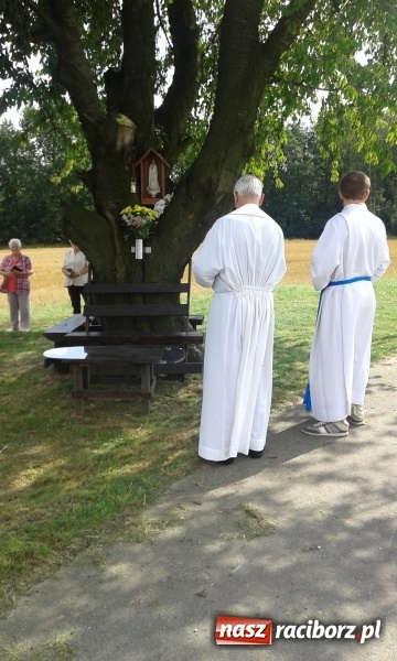Zdjęcie w galerii na portalu naszraciborz.pl: Stare drzewo dzikiej czereśni - nowe miejsce kultu maryjnego w Borucinie  wiadomości z regionu
