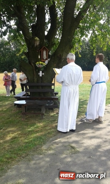 Zdjęcie w galerii na portalu naszraciborz.pl: Stare drzewo dzikiej czereśni - nowe miejsce kultu maryjnego w Borucinie  wiadomości z regionu