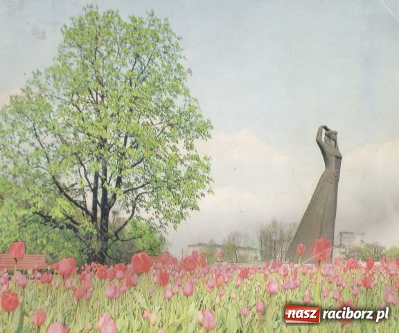 Zdjęcie w galerii na portalu naszraciborz.pl: Racibórz A.D. 1984 wiadomości z regionu